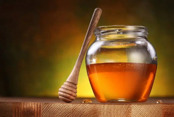 تصویر 4 از خرید عسل بوقناق درمانی + قیمت فروش استثنایی