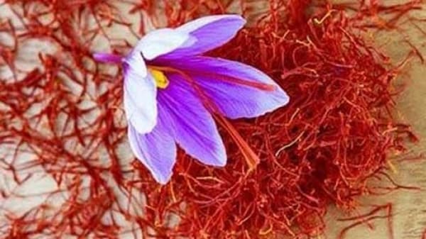 تصویر 3 از خرید و قیمت عصاره زعفران زردطلایی + فروش عمده