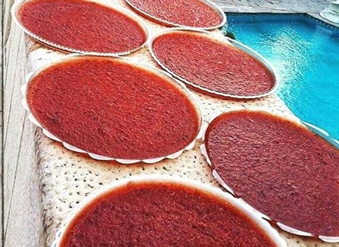تصویر 4 از قیمت خرید لواشک آلوچه سبز درجه یک + فروش ویژه