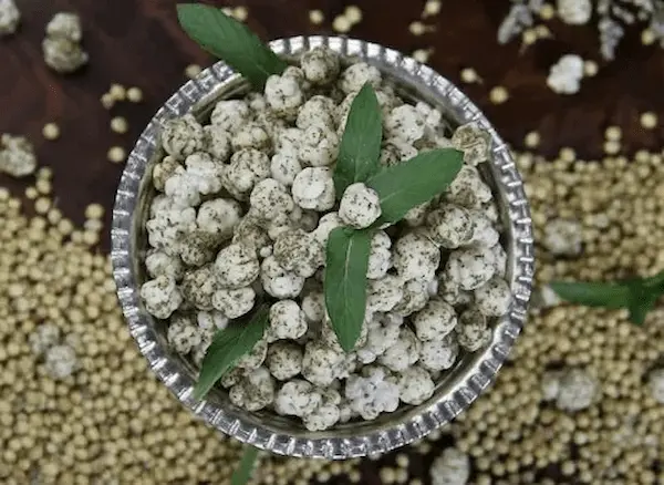 تصویر 3 از قیمت و خرید نقل گشنیز ارومیه + فروش ارزان