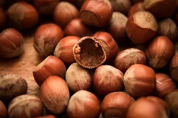 تصویر 1 از خرید و قیمت فندق شور بوداده + فروش عمده