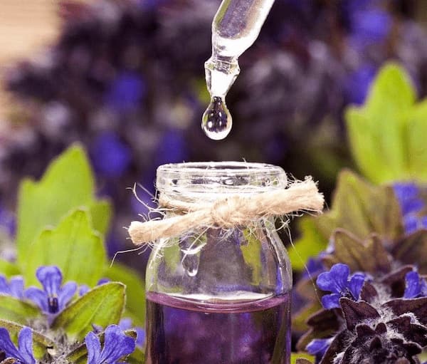 تصویر 2 از راهنمای خرید روغن بنفشه اصل + قیمت عالی
