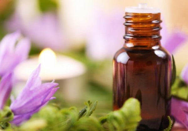 تصویر 4 از قیمت روغن بنفشه ارگانیک + پخش تولیدی عمده کارخانه