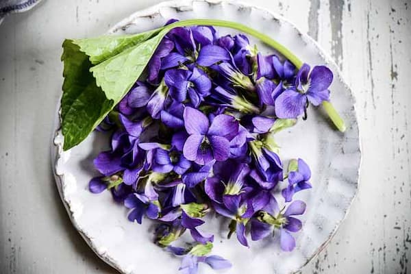 تصویر 3 از قیمت روغن بنفشه ارگانیک + پخش تولیدی عمده کارخانه
