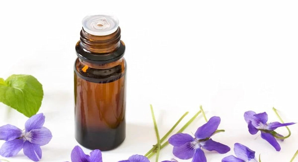 قیمت روغن بنفشه ارگانیک + پخش تولیدی عمده کارخانه