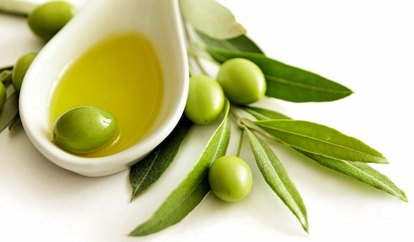تصویر 3 از قیمت خرید عرق برگ زیتون اعلا + فروش ویژه