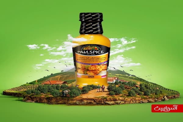 خرید و قیمت چاشنی جوجه کباب دزفولی + فروش عمده