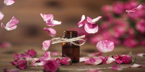 تصویر 1 از خرید و قیمت اسانس گل محمدی طبیعی + فروش صادراتی