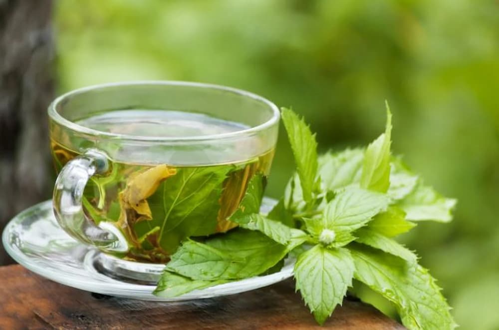 تصویر 1 از قیمت خرید عرق نعنا درجه یک + فروش ویژه