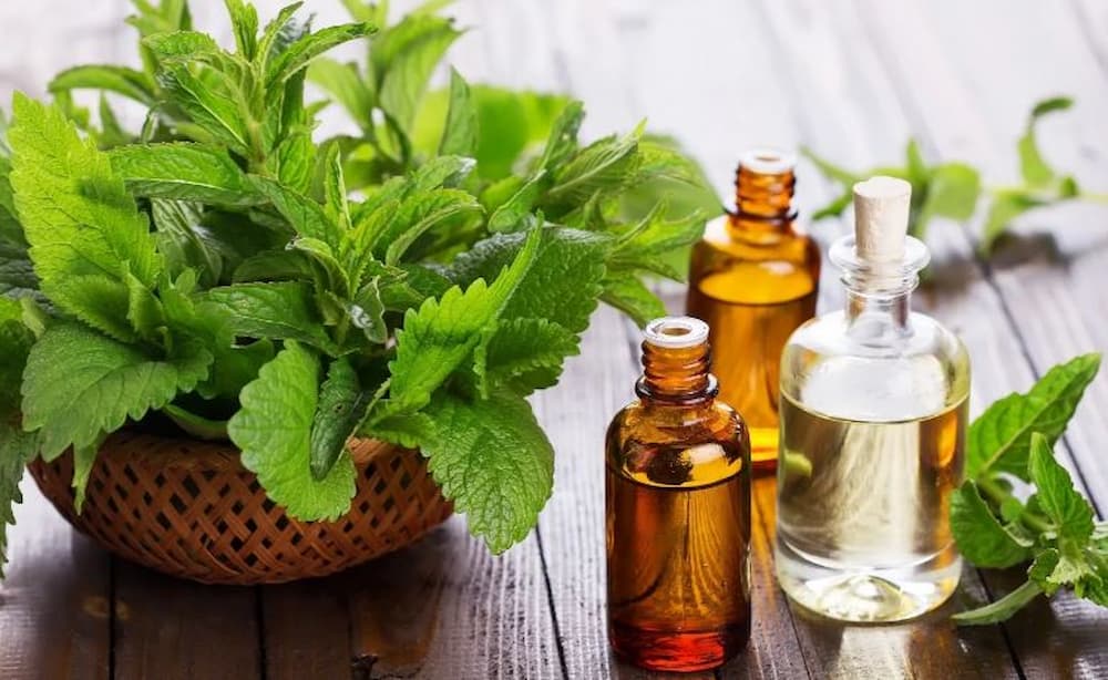 تصویر 2 از قیمت خرید عرق نعنا درجه یک + فروش ویژه
