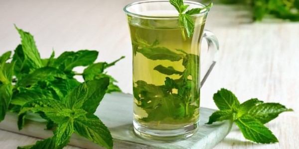 تصویر 5 از قیمت خرید عرق نعنا درجه یک + فروش ویژه