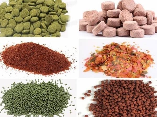 تصویر 3 از خرید و فروش غذای ماهی زینتی با شرایط فوق العاده