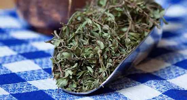 تصویر 4 از قیمت آویشن کوهی خشک با کیفیت ارزان + خرید عمده