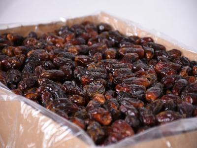 تصویر 3 از قیمت خرید خرما مضافتی درجه یک + فروش ویژه