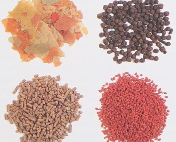 خرید و قیمت انواع خوراک ماهی تزیینی