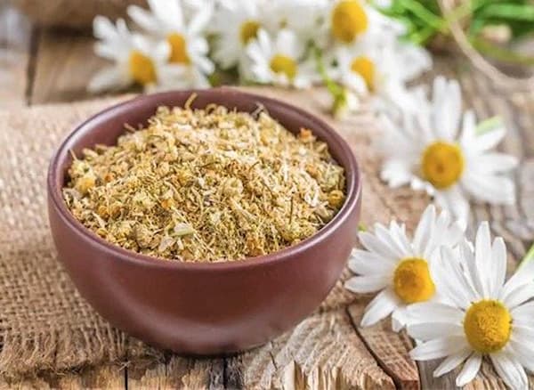تصویر 5 از خرید بابونه خشک شیرازی + قیمت فروش استثنایی