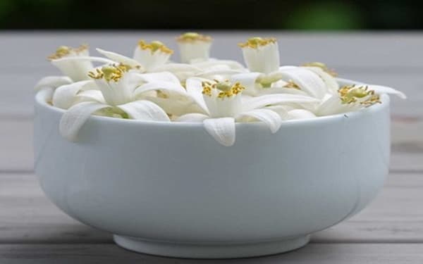 تصویر 3 از فروش گیاه دارویی بهار نارنج + قیمت خرید به صرفه