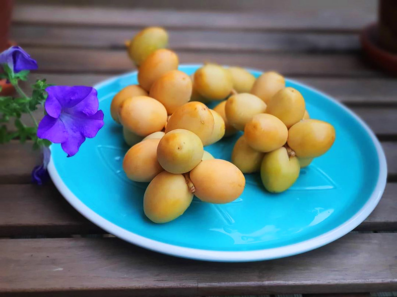 تصویر 5 از قیمت خرید خرما خارک با فروش عمده