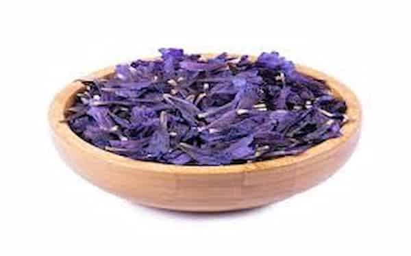 تصویر 2 از فروش گل گاو زبان خشک + قیمت خرید به صرفه