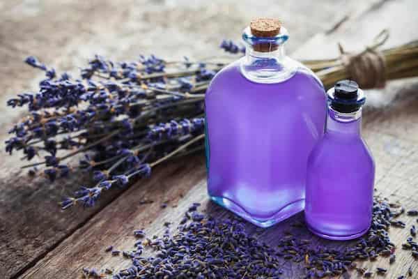 تصویر 2 از فروش عرق اسطوخودوس پامچال + قیمت خرید به صرفه
