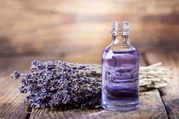 تصویر 3 از فروش عرق اسطوخودوس پامچال + قیمت خرید به صرفه
