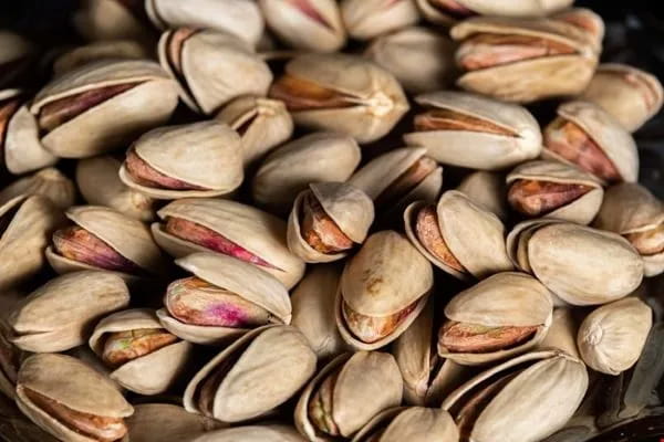 تصویر 1 از قیمت خرید پسته فندقی خندان عمده به صرفه و ارزان
