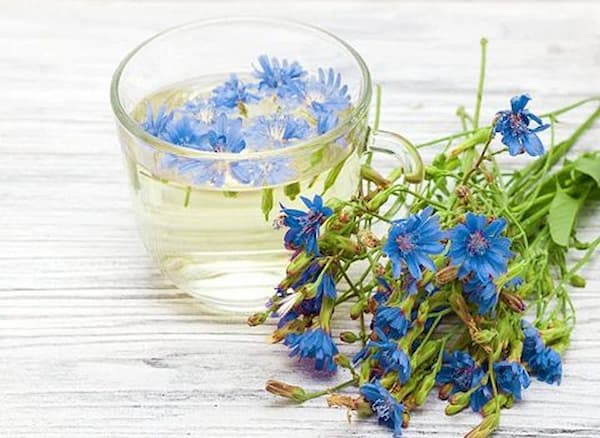 تصویر 2 از فروش عرق کاسنی پامچال + قیمت خرید به صرفه