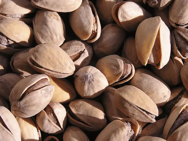 تصویر 1 از پسته اکبری انس ۲۴ دست‌ چین شده + کیفیت تضمینی