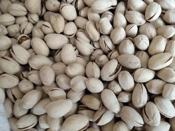 تصویر 2 از معرفی پسته زعفرانی اکبری + بهترین قیمت خرید