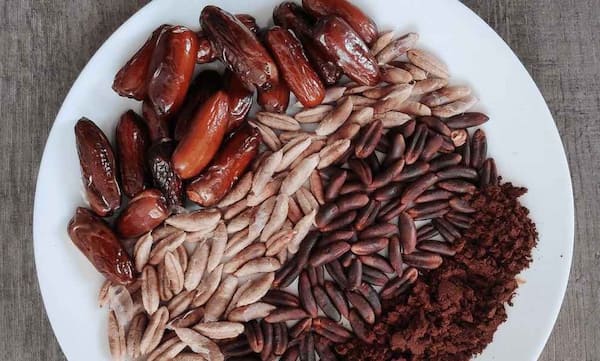 تصویر 5 از خرید و فروش روغن هسته خرما ارگانیک با شرایط فوق العاده