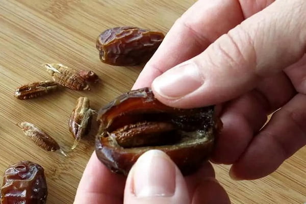 تصویر 3 از قیمت خرید روغن هسته خرما صادراتی عمده به صرفه و ارزان