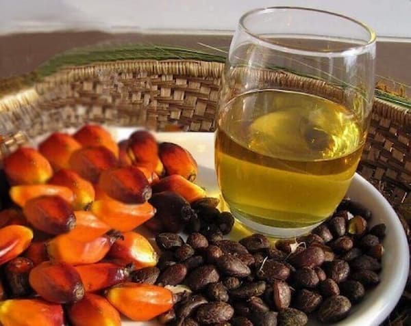 تصویر 2 از قیمت خرید روغن هسته خرما صادراتی عمده به صرفه و ارزان
