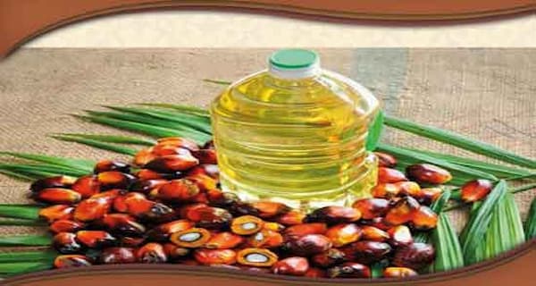 تصویر 5 از قیمت خرید روغن هسته خرما صادراتی عمده به صرفه و ارزان