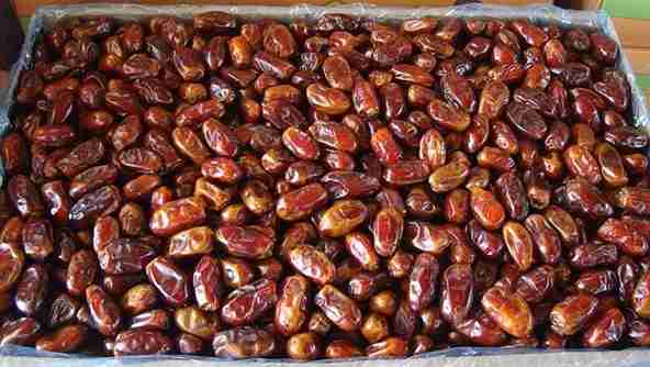 تصویر 2 از خرید و قیمت خرما ضایعاتی شیراز + فروش عمده