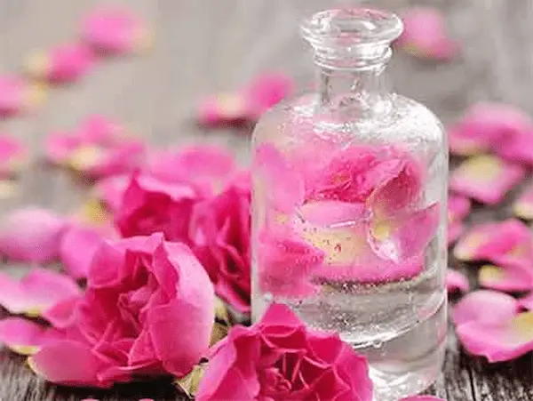 تصویر 1 از قیمت پر گل محمدی درجه دو