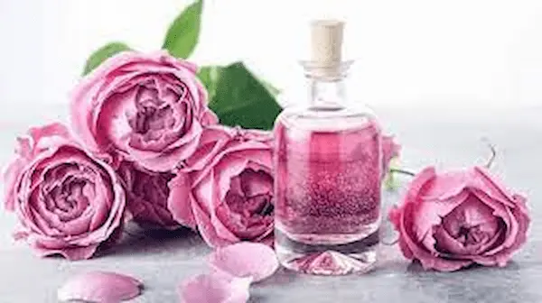 تصویر 1 از فروش اسانس خوراکی گل محمدی