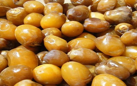 تصویر 4 از خرید خرما خارک اصلاح نژاد شده + قیمت فروش استثنائی