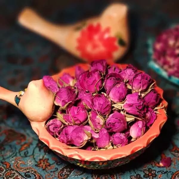 تصویر 4 از خرید غنچه گل محمدی لاله زار + قیمت فروش استثنایی