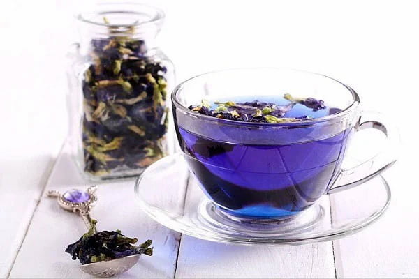 تصویر 3 از قیمت خرید گیاه دارویی گل گاو زبان عمده به صرفه و ارزان