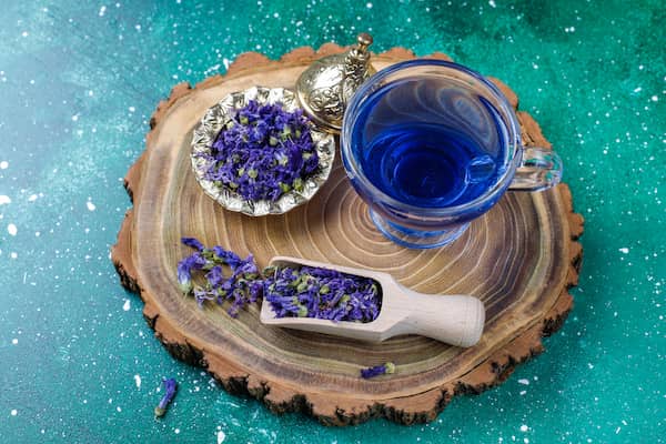 تصویر 4 از قیمت خرید گیاه دارویی گل گاو زبان عمده به صرفه و ارزان