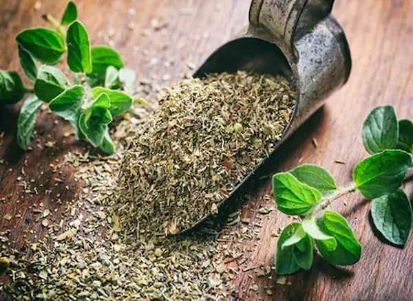 قیمت روز برگ گیاه آویشن