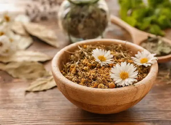تصویر 3 از خرید جدیدترین انواع ریشه گیاه بابونه