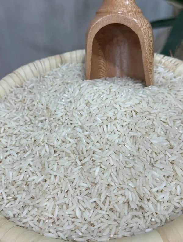 تصویر 2 از فروش برنج فجر سوزنی + قیمت خرید به صرفه