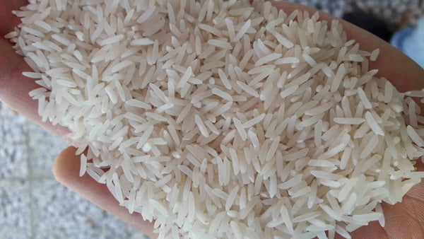 تصویر 5 از فروش برنج فجر سوزنی + قیمت خرید به صرفه