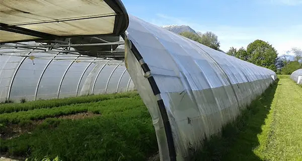 تصویر 5 از راهنمای خرید نایلون زخیم گلخانه ای + قیمت عالی