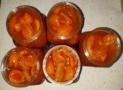 فروش ترشک زردآلو