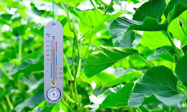 تصویر 3 از راهنمای خرید دماسنج دیجیتالی گلخانه + قیمت عالی