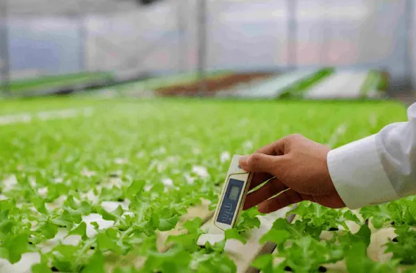 تصویر 5 از راهنمای خرید دماسنج دیجیتالی گلخانه + قیمت عالی