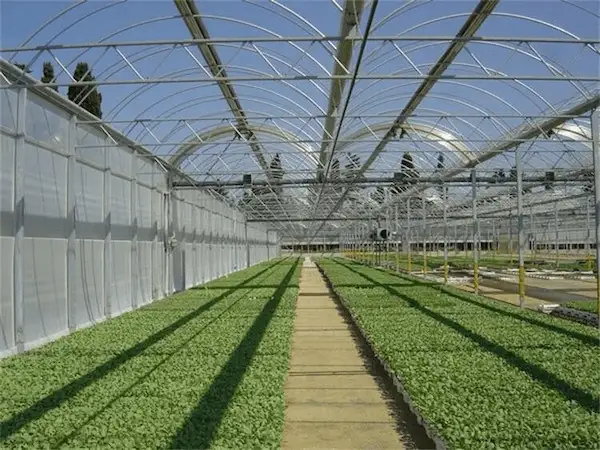 تصویر 2 از راهنمای خرید کفپوش گلخانه صنعتی + قیمت عالی