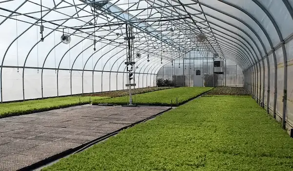 تصویر 5 از راهنمای خرید کفپوش گلخانه صنعتی + قیمت عالی